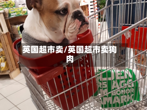 英国超市卖/英国超市卖狗肉-第3张图片