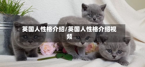 英国人性格介绍/英国人性格介绍视频