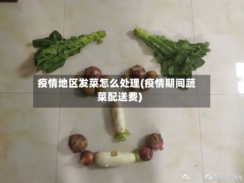 疫情地区发菜怎么处理(疫情期间蔬菜配送费)-第3张图片