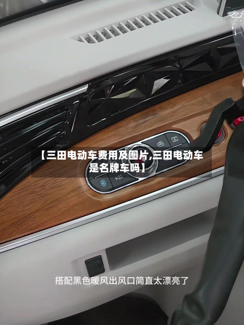 【三田电动车费用及图片,三田电动车是名牌车吗】-第3张图片