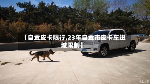 【自贡皮卡限行,23年自贡市皮卡车进城限制】
