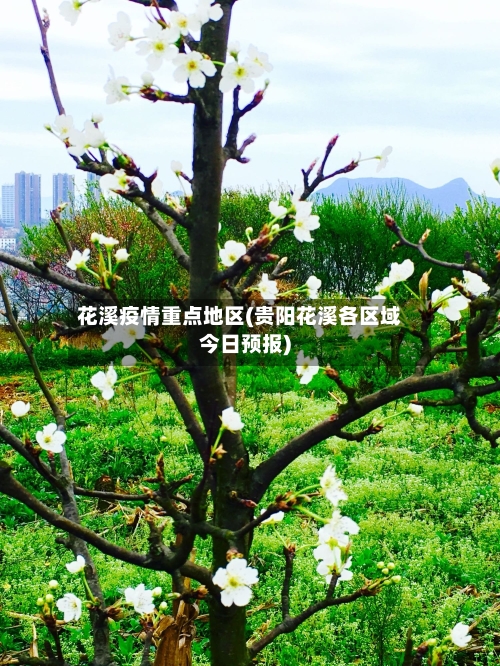 花溪疫情重点地区(贵阳花溪各区域今日预报)
