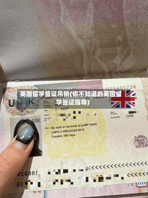 英国留学签证吊销(你不知道的英国留学签证指导)