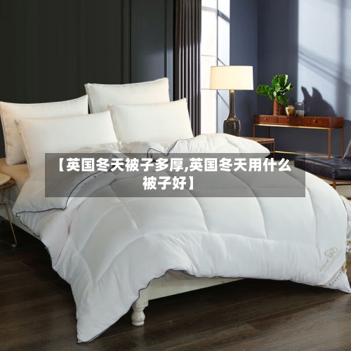 【英国冬天被子多厚,英国冬天用什么被子好】-第3张图片