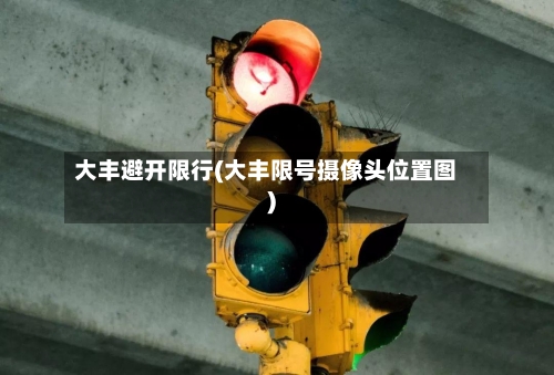 大丰避开限行(大丰限号摄像头位置图)-第2张图片