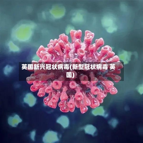 英国新兴冠状病毒(新型冠状病毒 英国)-第2张图片