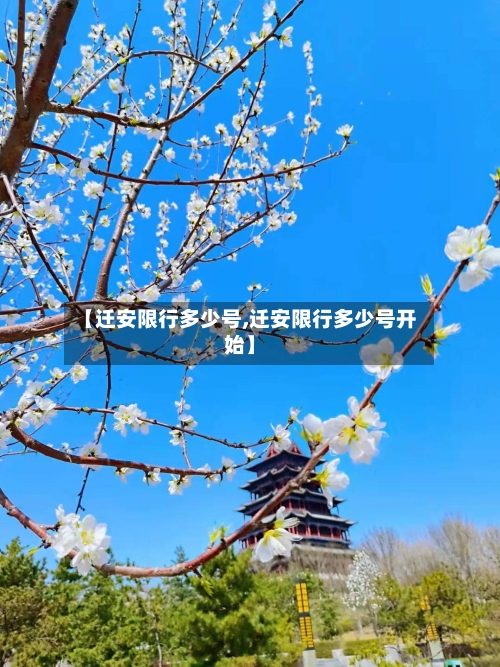 【迁安限行多少号,迁安限行多少号开始】-第2张图片