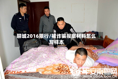 聊城2016限行/被诈骗报案材料怎么写样本