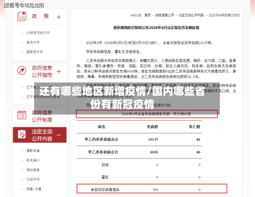 还有哪些地区新增疫情/国内哪些省份有新冠疫情