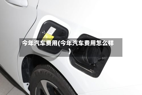 今年汽车费用(今年汽车费用怎么样)