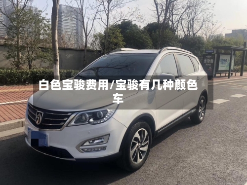 白色宝骏费用/宝骏有几种颜色车-第3张图片