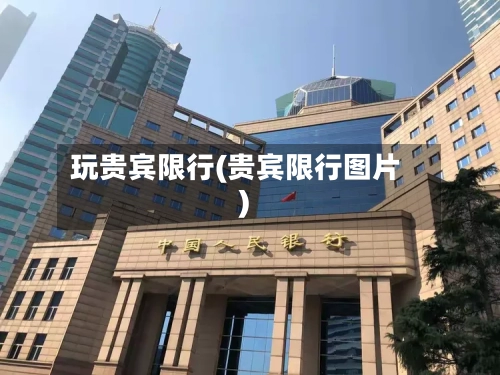 玩贵宾限行(贵宾限行图片)-第3张图片