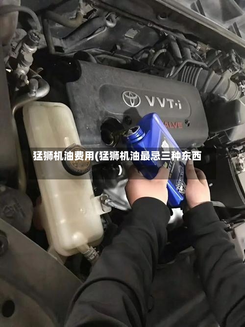 猛狮机油费用(猛狮机油最忌三种东西)