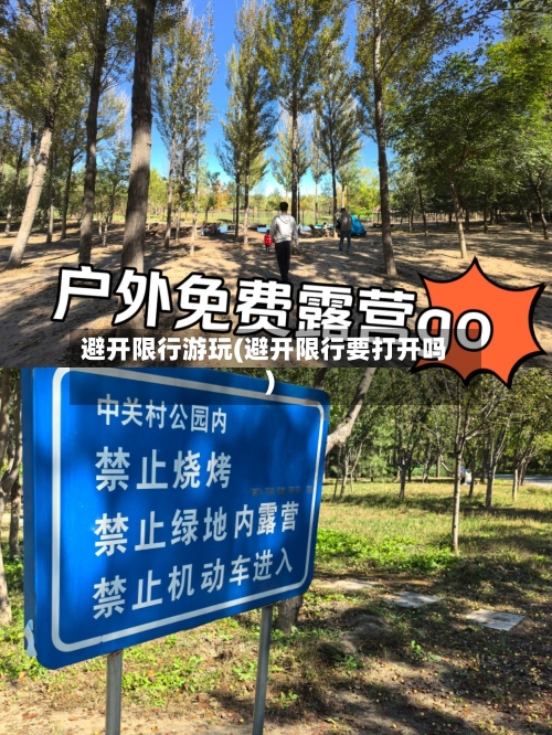 避开限行游玩(避开限行要打开吗)-第3张图片