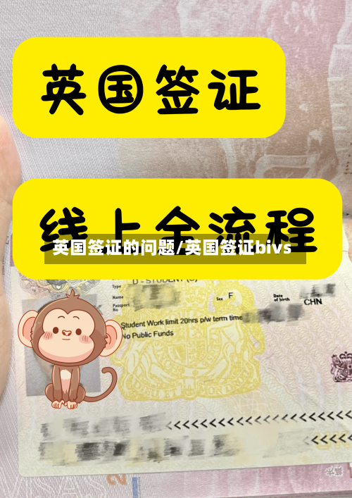 英国签证的问题/英国签证bivs-第3张图片