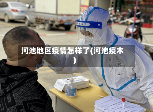 河池地区疫情怎样了(河池疫木)-第2张图片