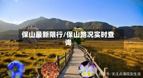 保山最新限行/保山路况实时查询