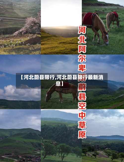 【河北蔚县限行,河北蔚县限行最新消息】-第2张图片
