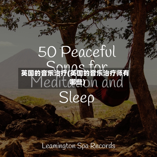 英国的音乐治疗(英国的音乐治疗师有哪些)