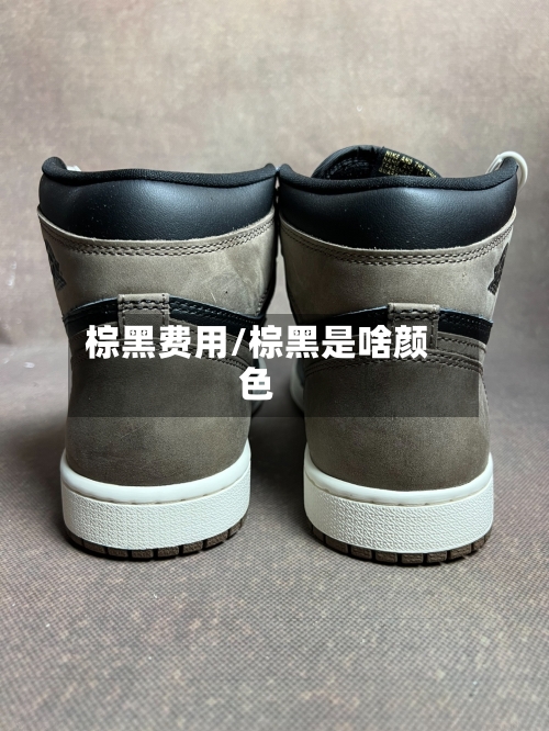 棕黑费用/棕黑是啥颜色