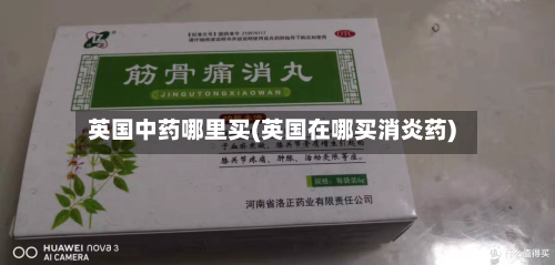 英国中药哪里买(英国在哪买消炎药)-第2张图片