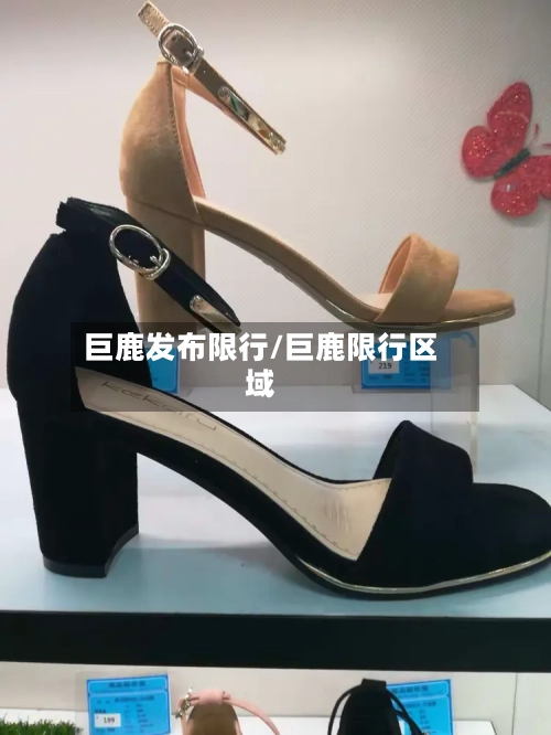 巨鹿发布限行/巨鹿限行区域