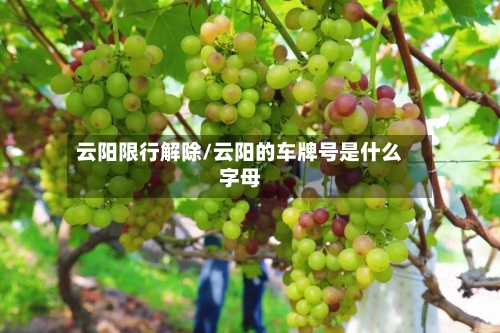 云阳限行解除/云阳的车牌号是什么字母-第2张图片