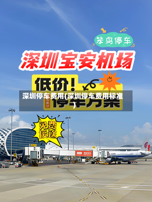 深圳停车费用(深圳停车费用标准)