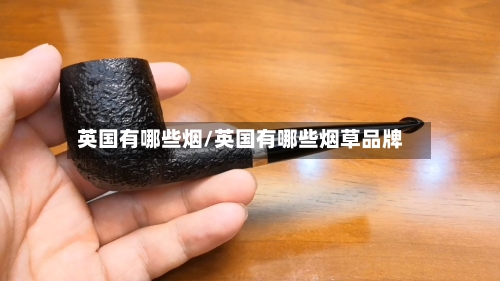 英国有哪些烟/英国有哪些烟草品牌