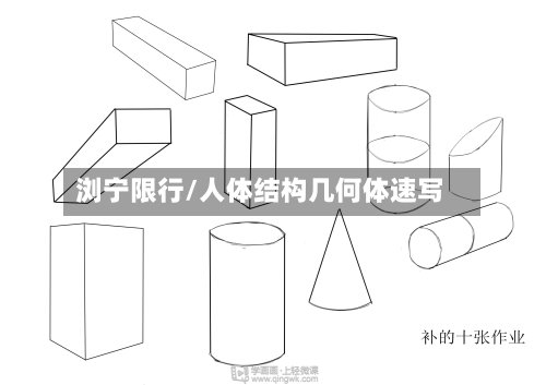 浏宁限行/人体结构几何体速写