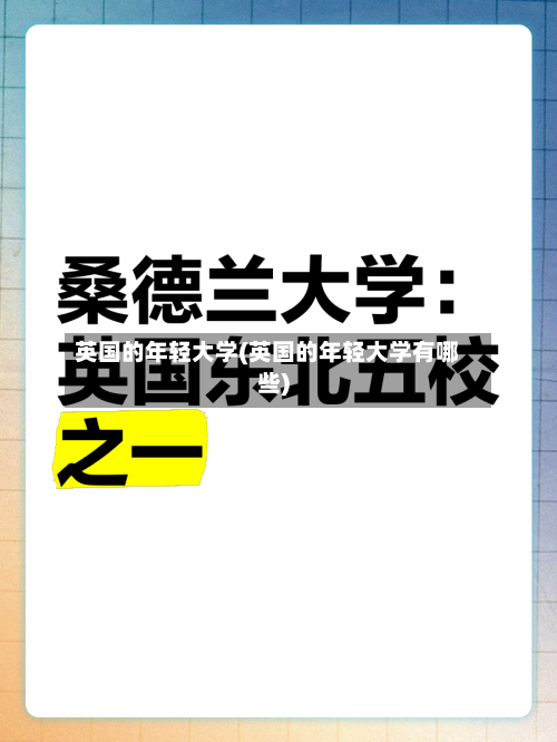 英国的年轻大学(英国的年轻大学有哪些)-第2张图片