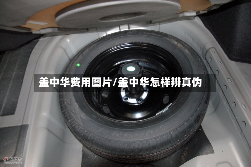 盖中华费用图片/盖中华怎样辨真伪