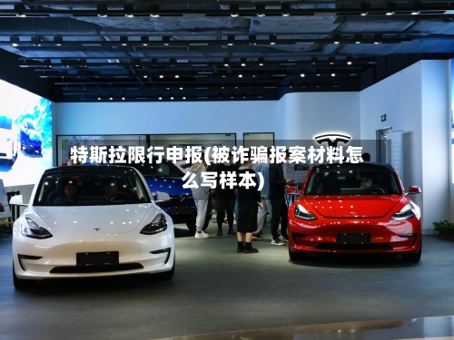 特斯拉限行申报(被诈骗报案材料怎么写样本)-第2张图片