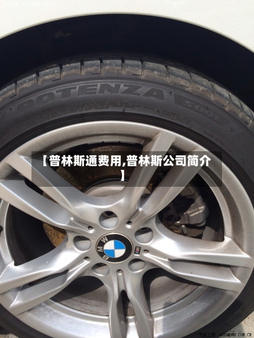【普林斯通费用,普林斯公司简介】