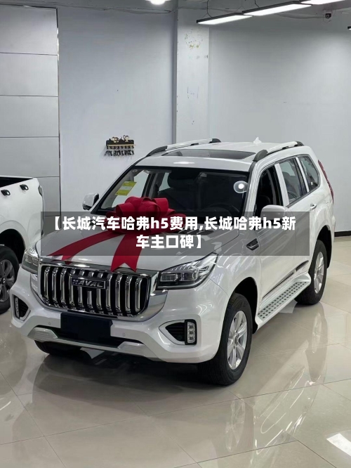 【长城汽车哈弗h5费用,长城哈弗h5新车主口碑】