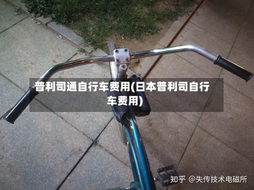 普利司通自行车费用(日本普利司自行车费用)-第3张图片
