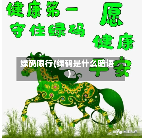 绿码限行(绿码是什么暗语)-第3张图片