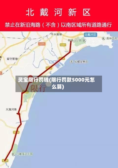 灵宝限行罚钱(限行罚款5000元怎么算)