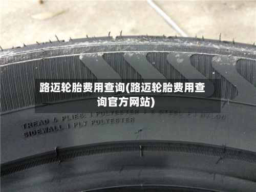 路迈轮胎费用查询(路迈轮胎费用查询官方网站)-第2张图片