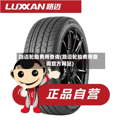 路迈轮胎费用查询(路迈轮胎费用查询官方网站)-第3张图片