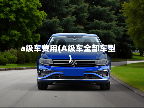 a级车费用(A级车全部车型)