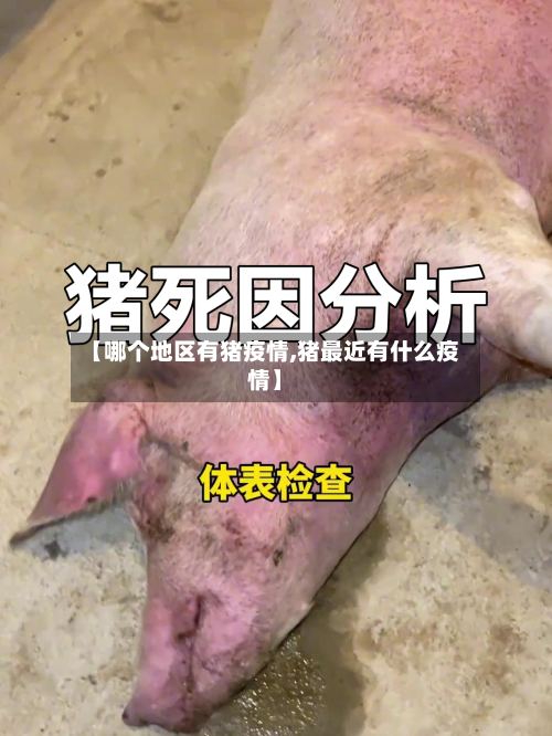 【哪个地区有猪疫情,猪最近有什么疫情】