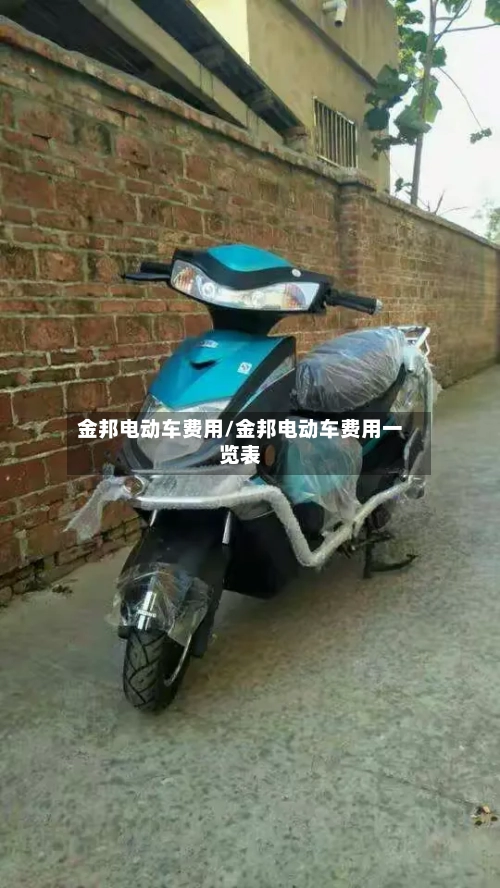 金邦电动车费用/金邦电动车费用一览表-第2张图片