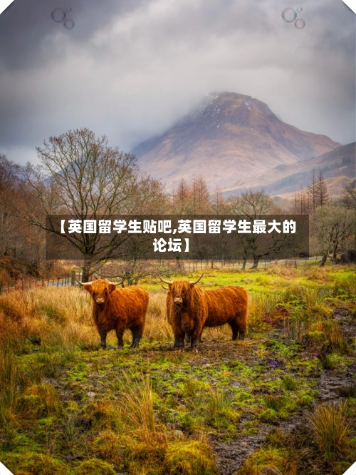 【英国留学生贴吧,英国留学生最大的论坛】