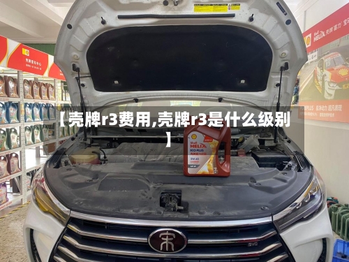 【壳牌r3费用,壳牌r3是什么级别】-第2张图片