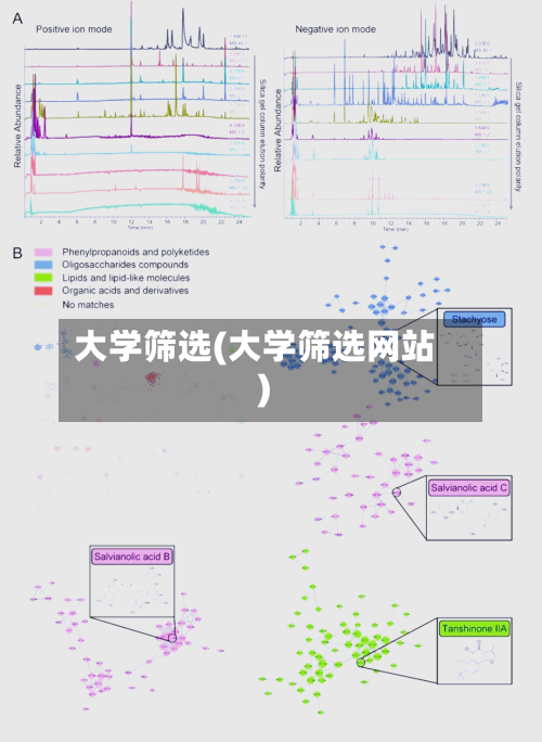大学筛选(大学筛选网站)-第2张图片