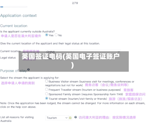 英国签证电码(英国电子签证账户)