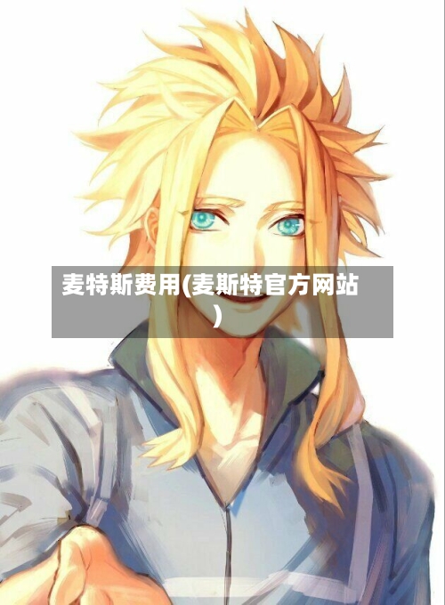 麦特斯费用(麦斯特官方网站)