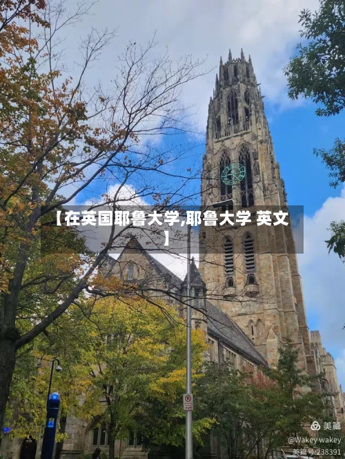 【在英国耶鲁大学,耶鲁大学 英文】