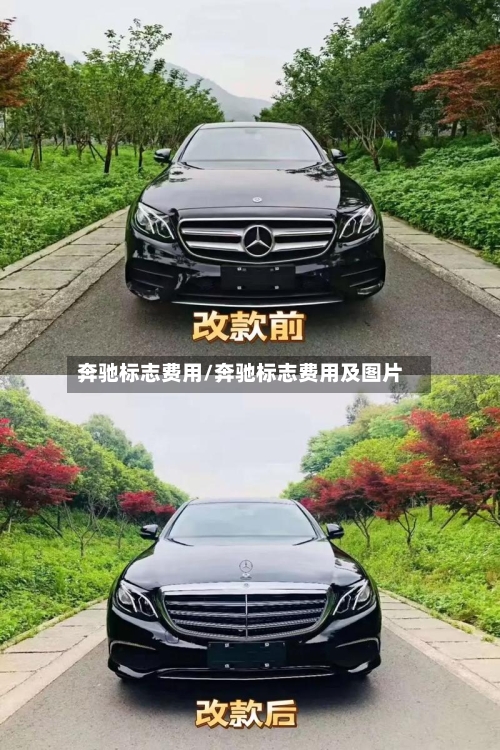 奔驰标志费用/奔驰标志费用及图片